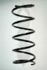 SPIDAN 56443 Coil Spring